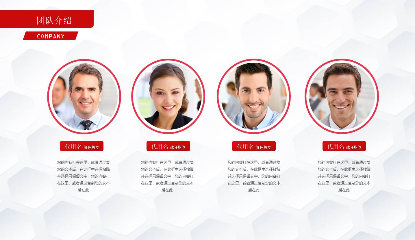 项目策划 (43).pptx